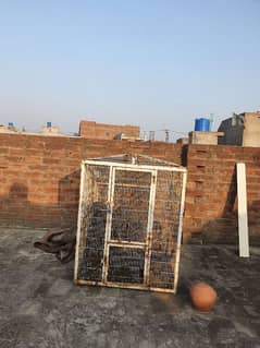 Iron cage for dogs