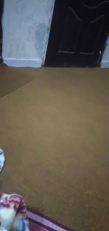 Carpet with it's Foam 10 by 10 condition just one month used 0