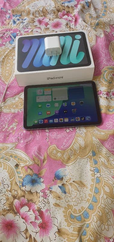 Ipad Mini 6 ( 64GB ) 0