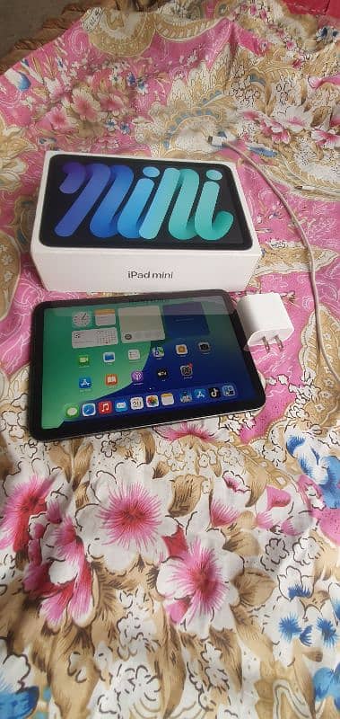 Ipad Mini 6 ( 64GB ) 7