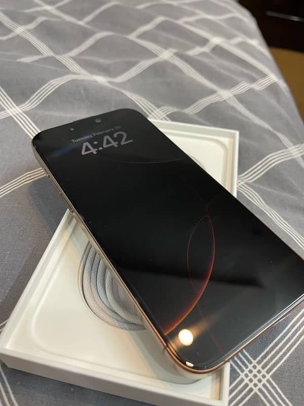 iPhone 16 Pro Max 256 GB 2