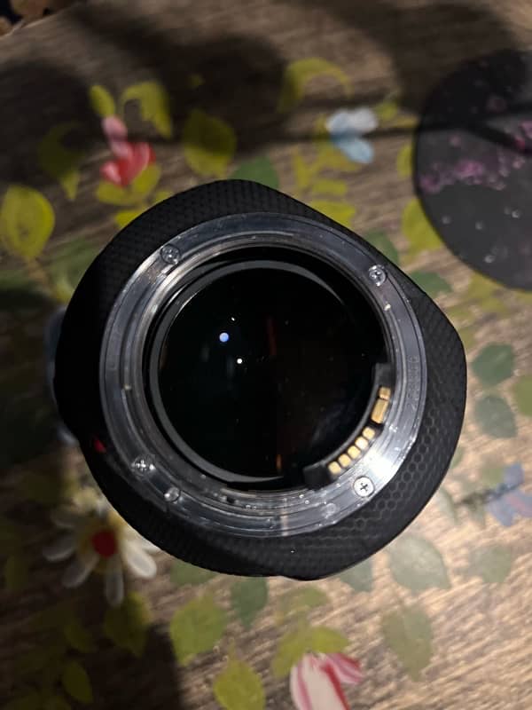 canon r6 with lenses bundle 4