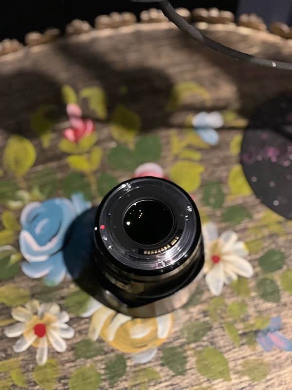 canon r6 with lenses bundle 6