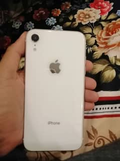 iphone xr pta approved offical