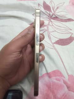 iphone 12 pro max 256 gb