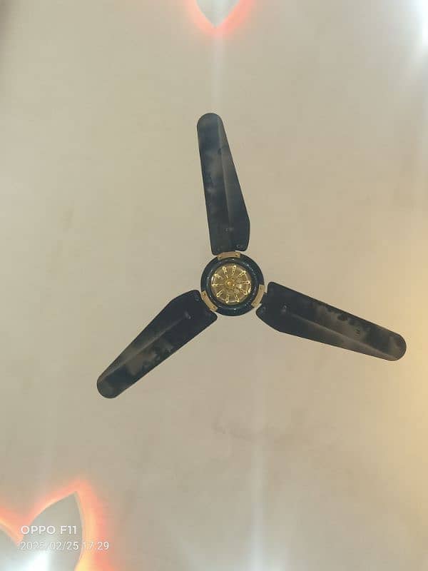 ceiling fan pure copper 5