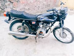 united 125 kotli number golden number