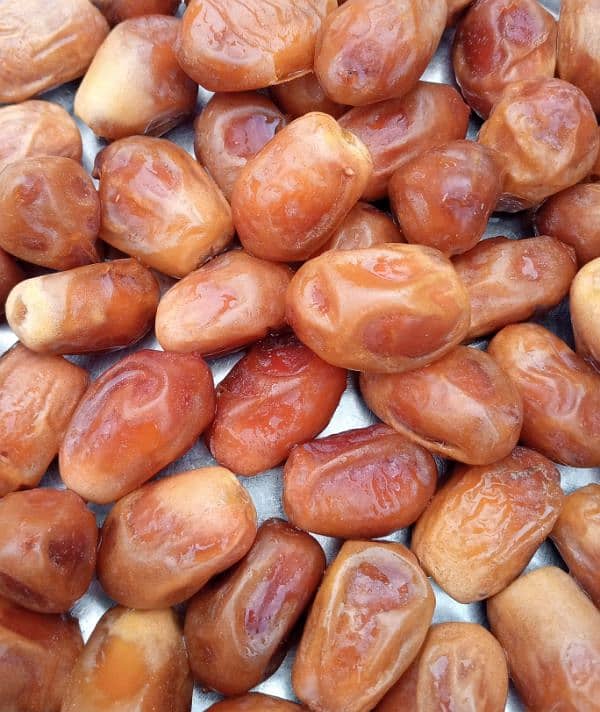 zahedi Irani Dates 1