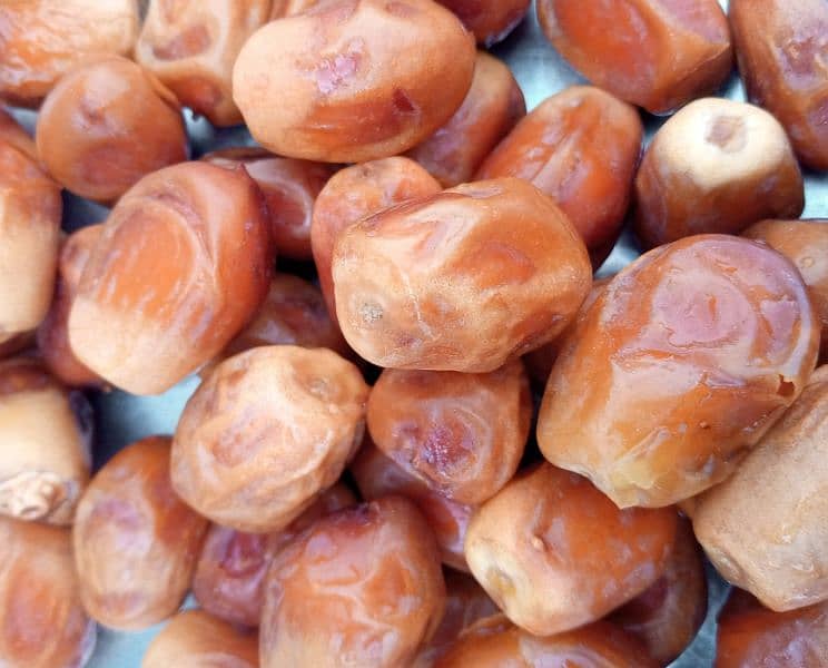 zahedi Irani Dates 2