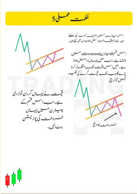 Simple Trading Book Urdu| All Types Of Trading Books O317 1OO22OO 9