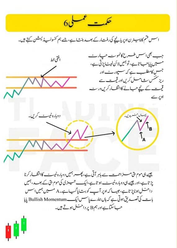 Simple Trading Book Urdu| All Types Of Trading Books O317 1OO22OO 10