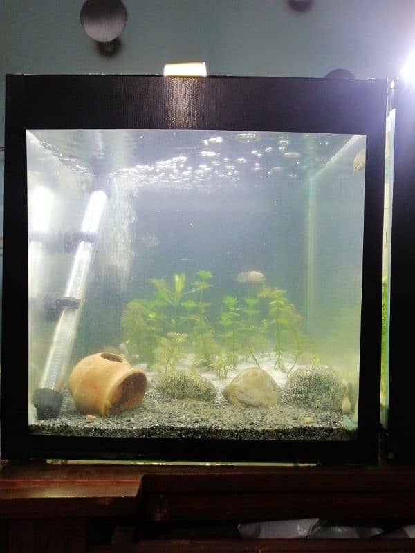 aquarium fish heater 1