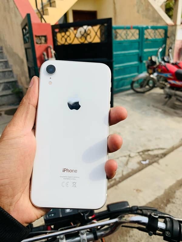 iphone XR 10 by 10 condition 81 bettery health 1