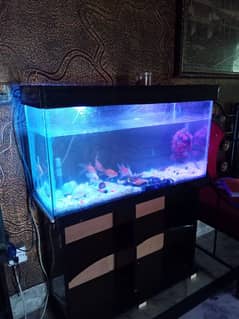 Fish Aquarium 3ft