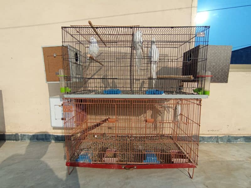 Cocktail White Eno Red eye setup for sale. Location: Peshawar 0