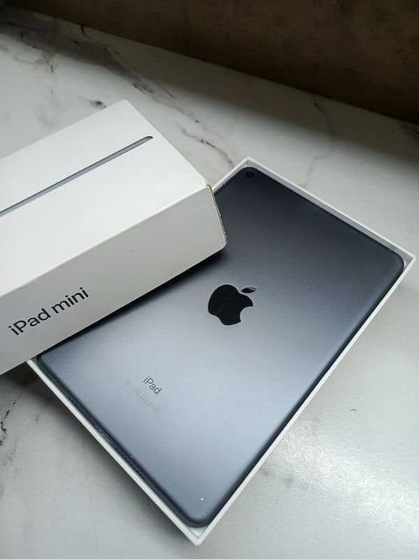 ipad mini 5 0