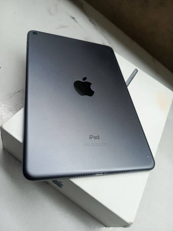 ipad mini 5 1