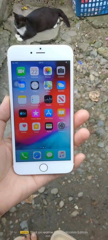 iPhone 6 plus 128 GB my WhatsApp number 03411594804 1