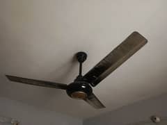 4 copper winding ceiling fan