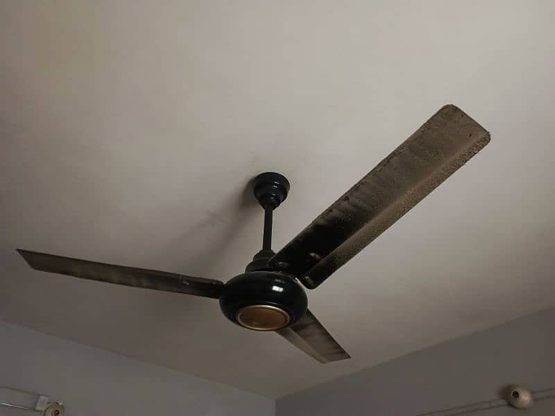 4 copper winding ceiling fan 0