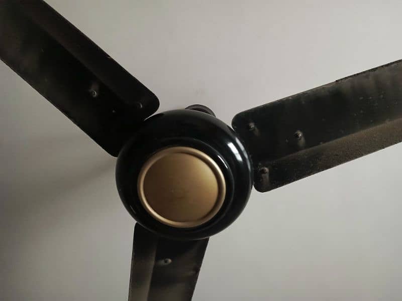 4 copper winding ceiling fan 1