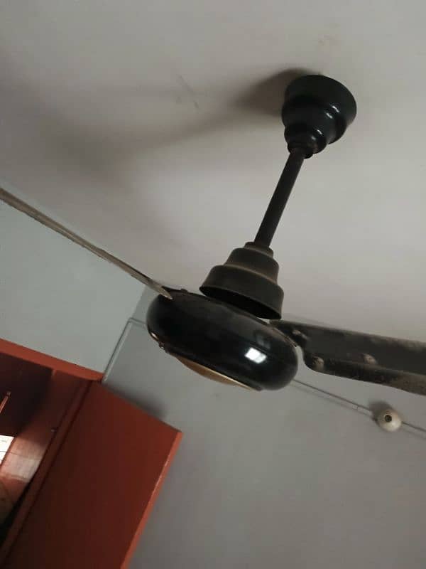 4 copper winding ceiling fan 2