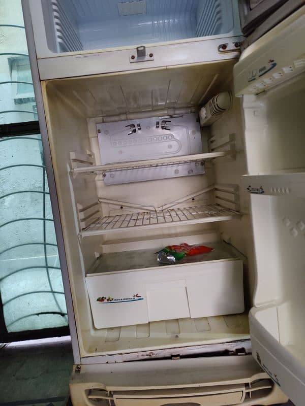 Pel Fridge 5