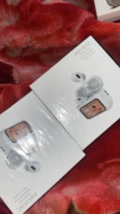 High quality display earbuds