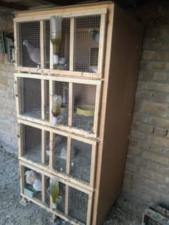 Birds cage