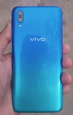 Vivo