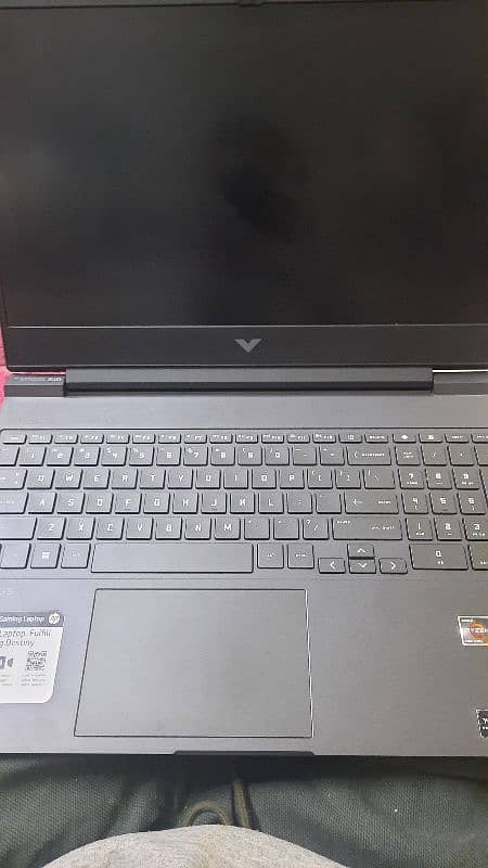 Hp Victus D15 3