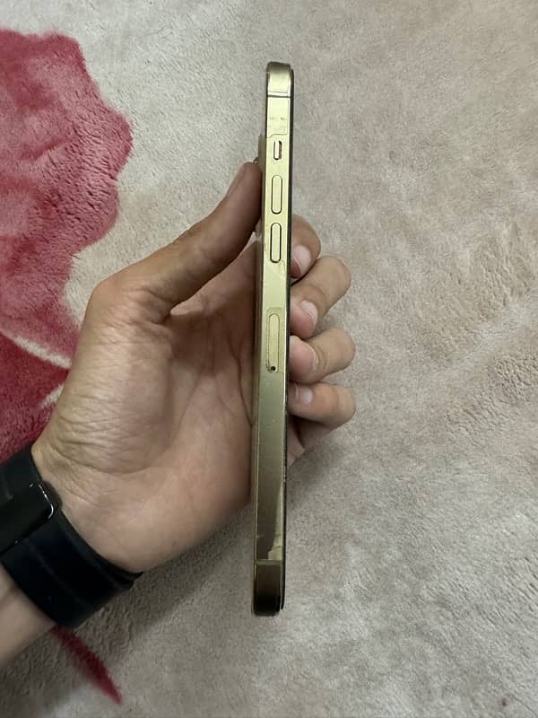 iphone 12 pro max Non pta jv 128gb gold waterpack 3