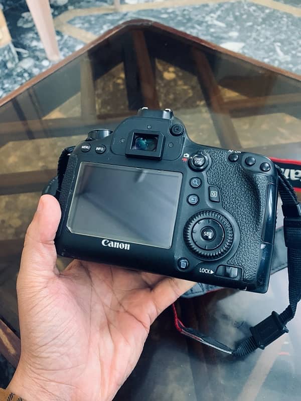 Canon 6D with 50mm 1.8mm STM lense 5