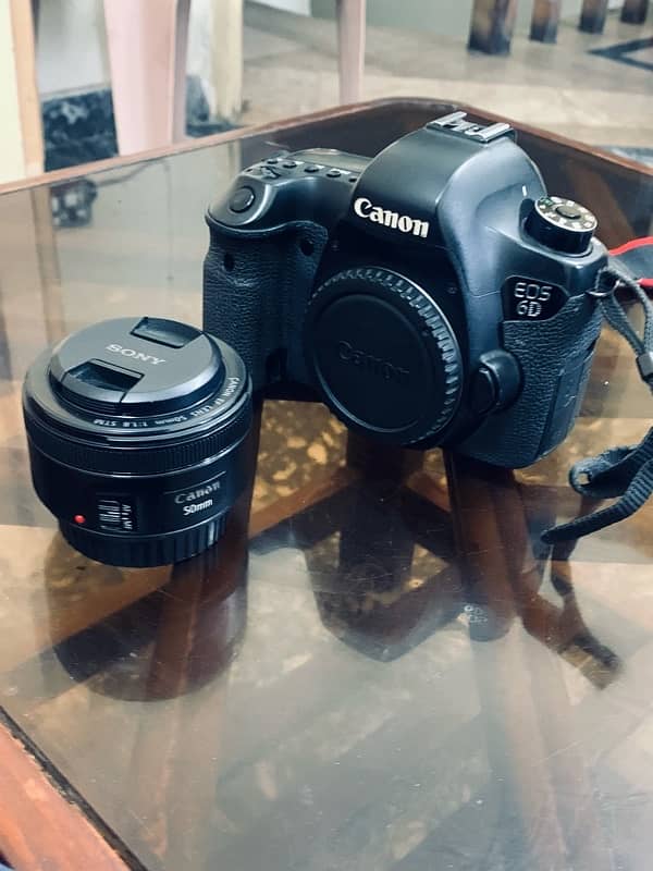 Canon 6D with 50mm 1.8mm STM lense 7