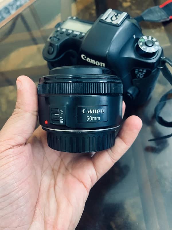 Canon 6D with 50mm 1.8mm STM lense 8