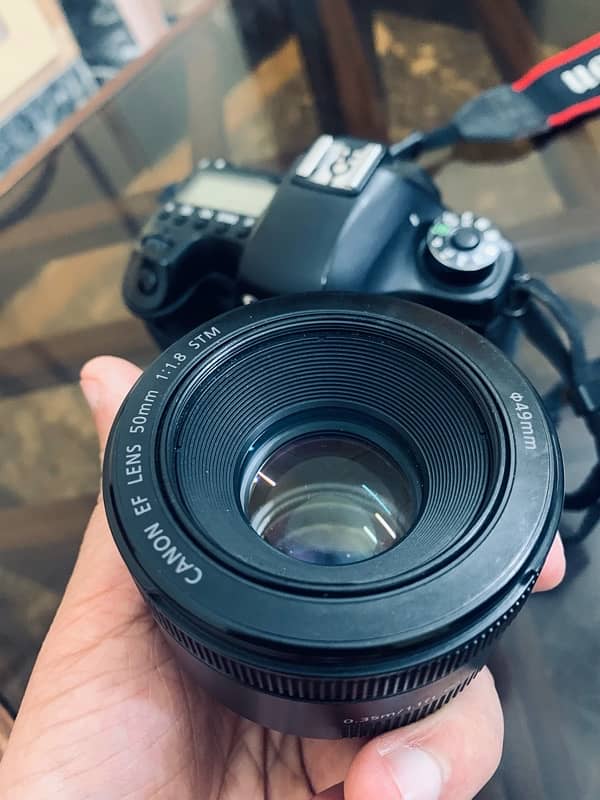 Canon 6D with 50mm 1.8mm STM lense 10