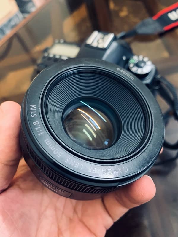 Canon 6D with 50mm 1.8mm STM lense 11