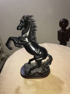 fancy horse for sale