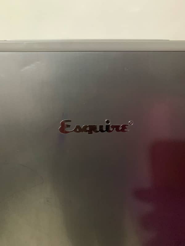 esquire double door large fridge 6