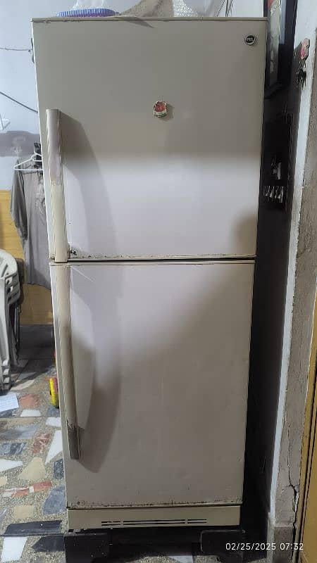 PEL jumbo size fridge 1