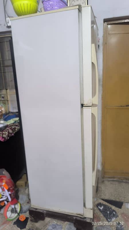 PEL jumbo size fridge 2