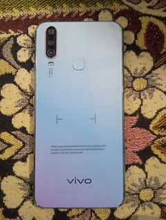 vivo