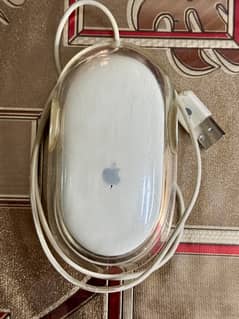 Apple USB Keyboard & USB Mouse