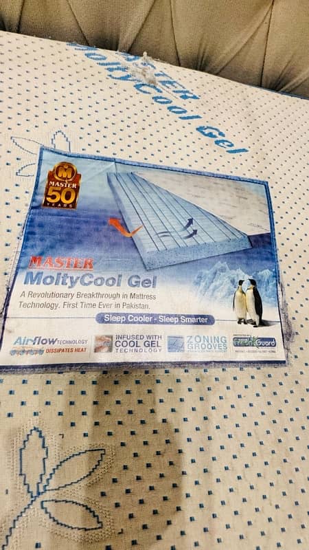 Molty Foam Cool Gel Mattress 0