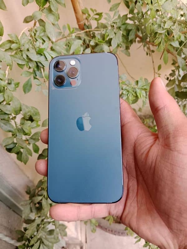 Iphone 12pro non PTA 256GB 5