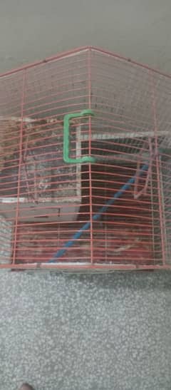 parrot cage