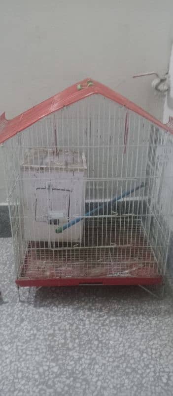 parrot cage 2