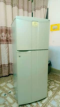 fridge for sall