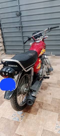 Honda 125 2021