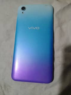 vivo